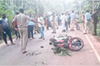 Kadaba: Rider injured as tree falls over moving bike